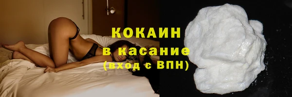 прущие грибы Алексин