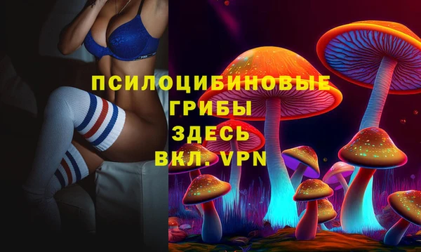 прущие грибы Алексин