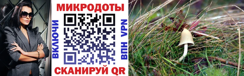 Галлюциногенные грибы мухоморы Кировград